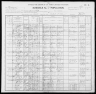 1900 United States Federal Census