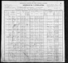 1900 United States Federal Census