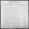 1900 United States Federal Census