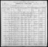 1900 United States Federal Census