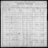 1900 United States Federal Census