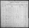 1900 United States Federal Census