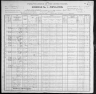 1900 United States Federal Census