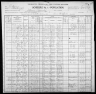 1900 United States Federal Census