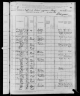 1880 United States Federal Census