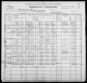 1900 United States Federal Census