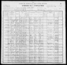 1900 United States Federal Census