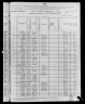 1880 United States Federal Census