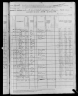 1880 United States Federal Census