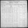 1900 United States Federal Census