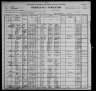 1900 United States Federal Census