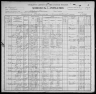 1900 United States Federal Census