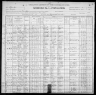 1900 United States Federal Census