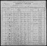 1900 United States Federal Census