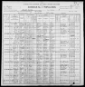 1900 United States Federal Census