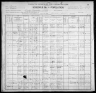 1900 United States Federal Census