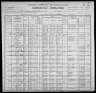 1900 United States Federal Census