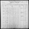 1900 United States Federal Census