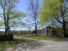 Newman Cemetery in East Providence, Providence County, Rhode Island