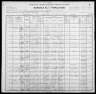 1900 United States Federal Census