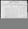 1900 United States Federal Census