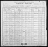 1900 United States Federal Census