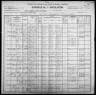 1900 United States Federal Census