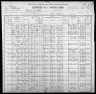 1900 United States Federal Census