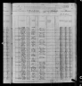 1880 United States Federal Census