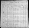 1900 United States Federal Census