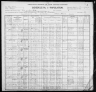 1900 United States Federal Census