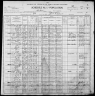 1900 United States Federal Census