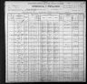 1900 United States Federal Census