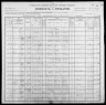 1900 United States Federal Census