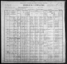 1900 United States Federal Census