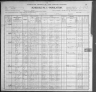 1900 United States Federal Census