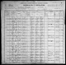 1900 United States Federal Census