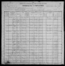 1900 United States Federal Census