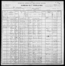 1900 United States Federal Census