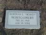 Img: Montgomery, Norman Edgar 