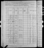 1880 United States Federal Census