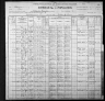 1900 United States Federal Census