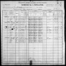 1900 United States Federal Census