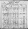 1900 United States Federal Census