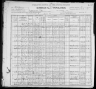 1900 United States Federal Census