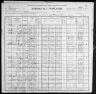 1900 United States Federal Census