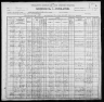 1900 United States Federal Census