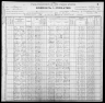 1900 United States Federal Census