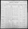 1900 United States Federal Census