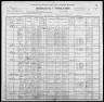 1900 United States Federal Census